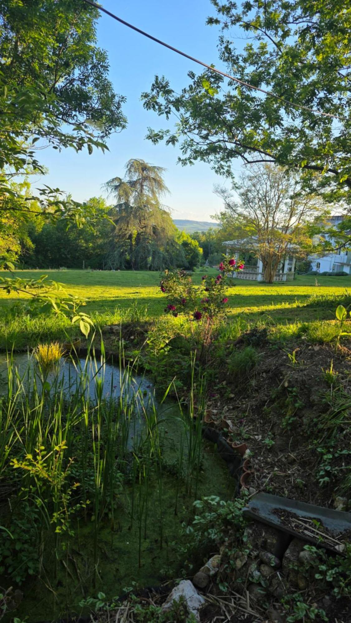 Chateau De Pourpry Damiatte 外观 照片