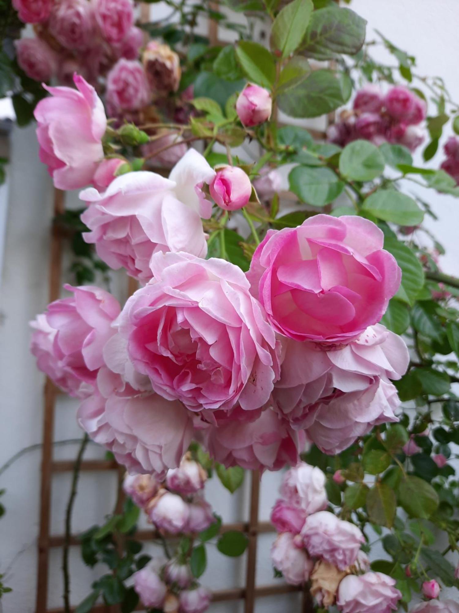 Chateau De Pourpry Damiatte 外观 照片
