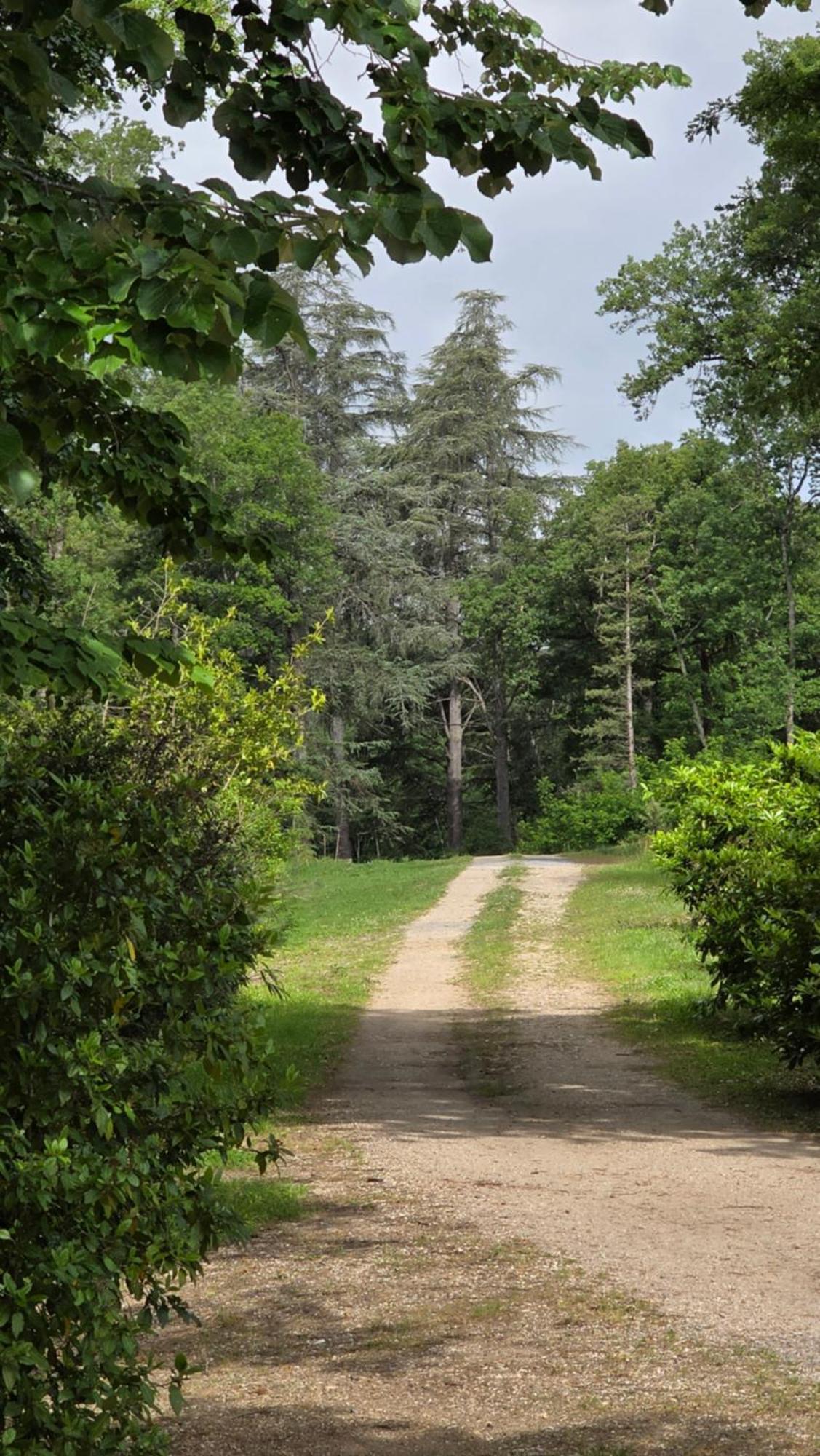 Chateau De Pourpry Damiatte 外观 照片
